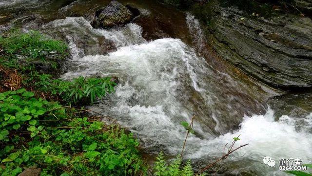 冷知识分享平台-深入探索怎样提高自己的普通话口语水平?的世界
